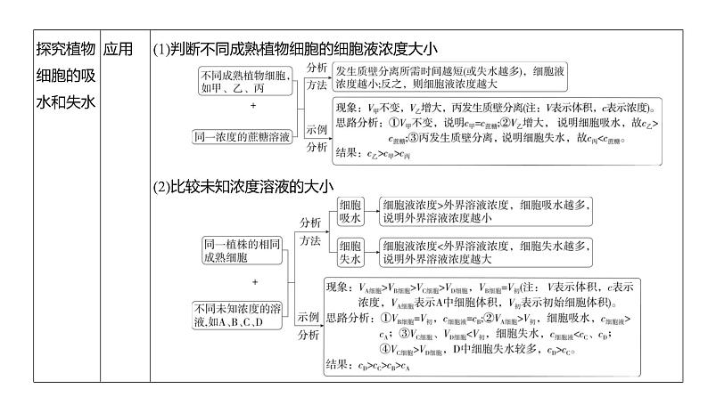 高考生物二轮复习讲解课件：专题3  细胞的物质输入和输出第5页