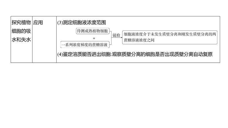 高考生物二轮复习讲解课件：专题3  细胞的物质输入和输出第6页