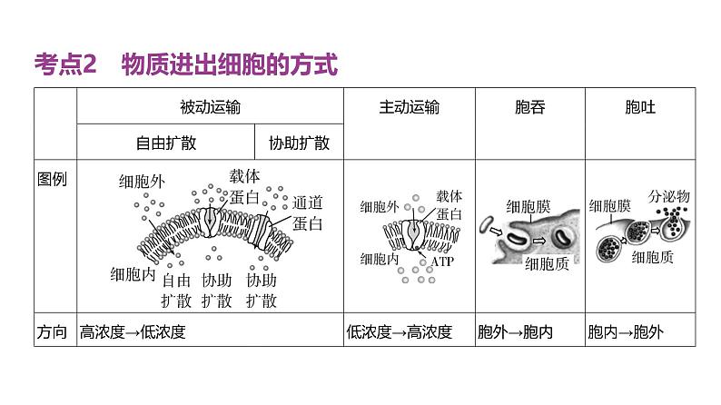 高考生物二轮复习讲解课件：专题3  细胞的物质输入和输出第8页