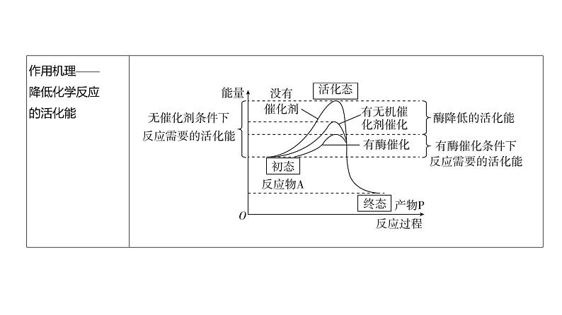 高考生物二轮复习讲解课件：专题4  酶和ATP第3页