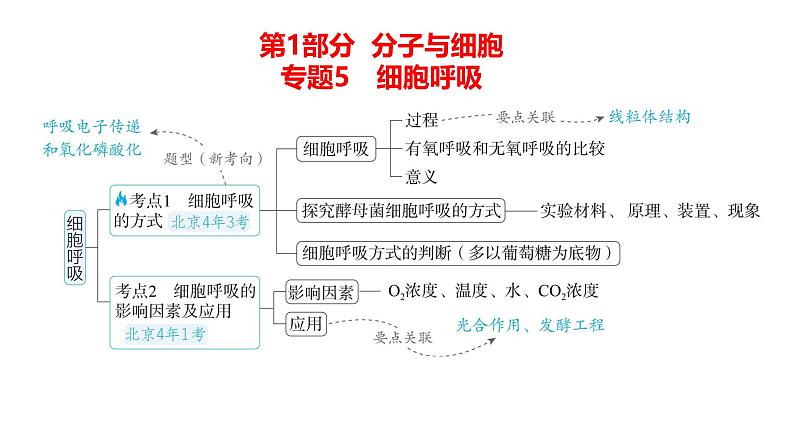 高考生物二轮复习讲解课件：专题5  细胞呼吸第1页