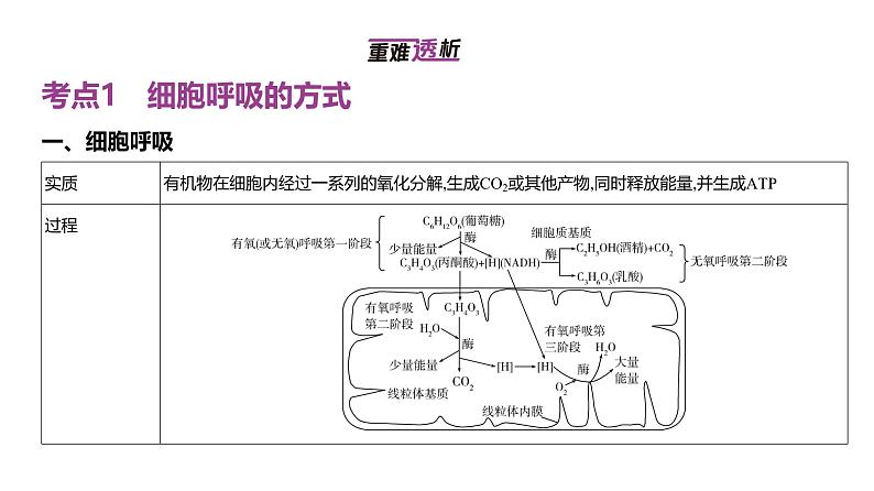 高考生物二轮复习讲解课件：专题5  细胞呼吸第2页