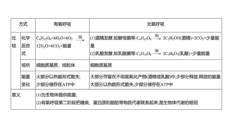 高考生物二轮复习讲解课件：专题5  细胞呼吸第3页