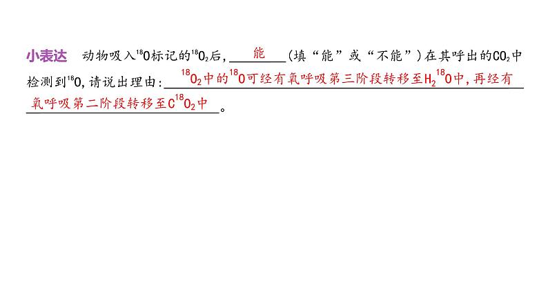 高考生物二轮复习讲解课件：专题5  细胞呼吸第7页