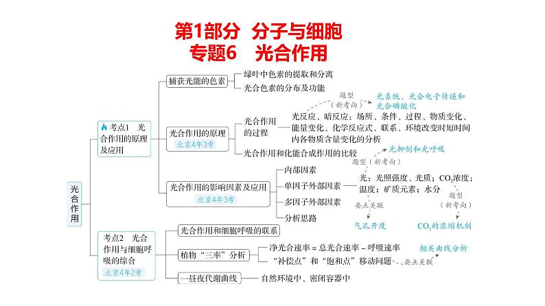 高考生物二轮复习讲解课件：专题6  光合作用第1页