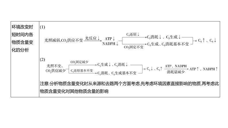 高考生物二轮复习讲解课件：专题6  光合作用第8页