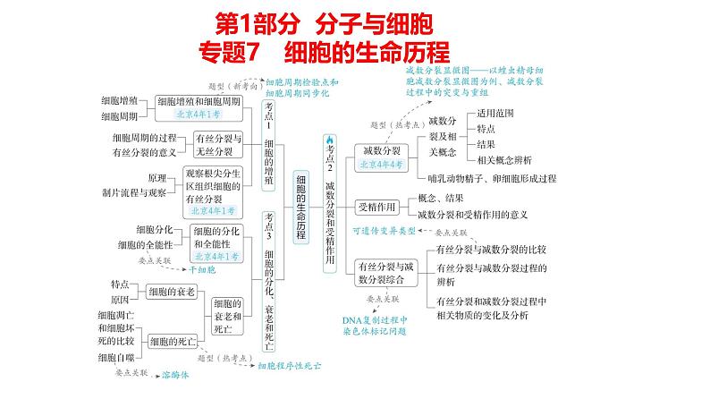 高考生物二轮复习讲解课件：专题7  细胞的生命历程第1页