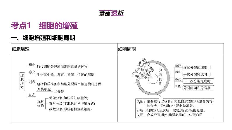 高考生物二轮复习讲解课件：专题7  细胞的生命历程第2页