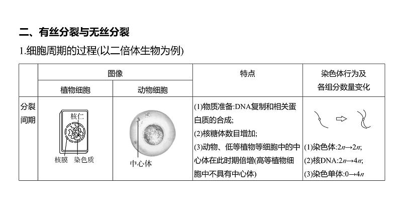 高考生物二轮复习讲解课件：专题7  细胞的生命历程第4页