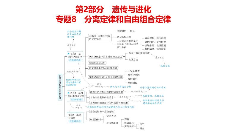 高考生物二轮复习讲解课件：专题8  分离定律和自由组合定律第1页