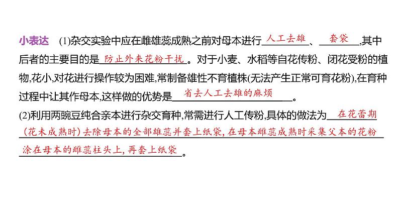 高考生物二轮复习讲解课件：专题8  分离定律和自由组合定律第3页