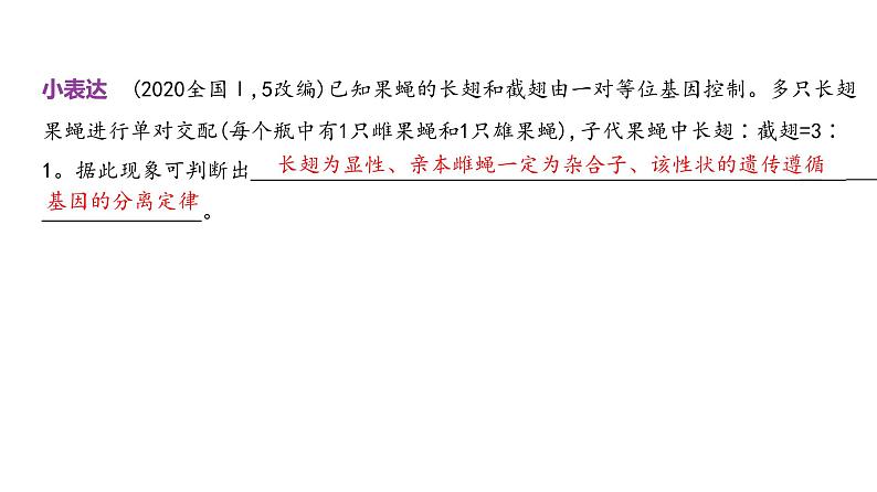 高考生物二轮复习讲解课件：专题8  分离定律和自由组合定律第6页