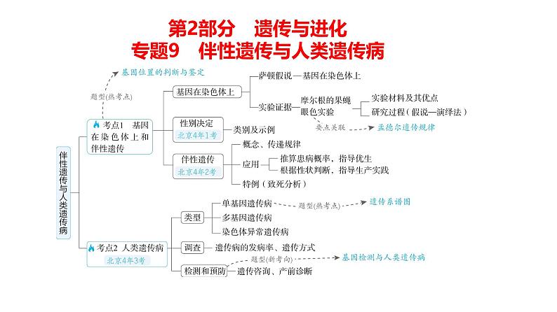 高考生物二轮复习讲解课件：专题9  伴性遗传与人类遗传病01