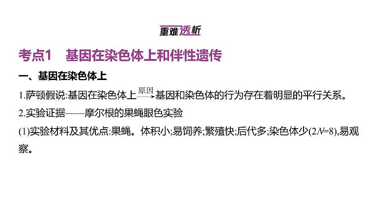 高考生物二轮复习讲解课件：专题9  伴性遗传与人类遗传病02