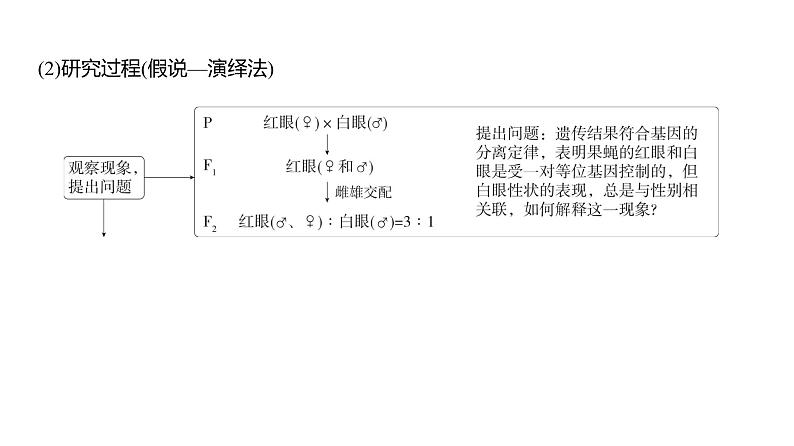 高考生物二轮复习讲解课件：专题9  伴性遗传与人类遗传病03