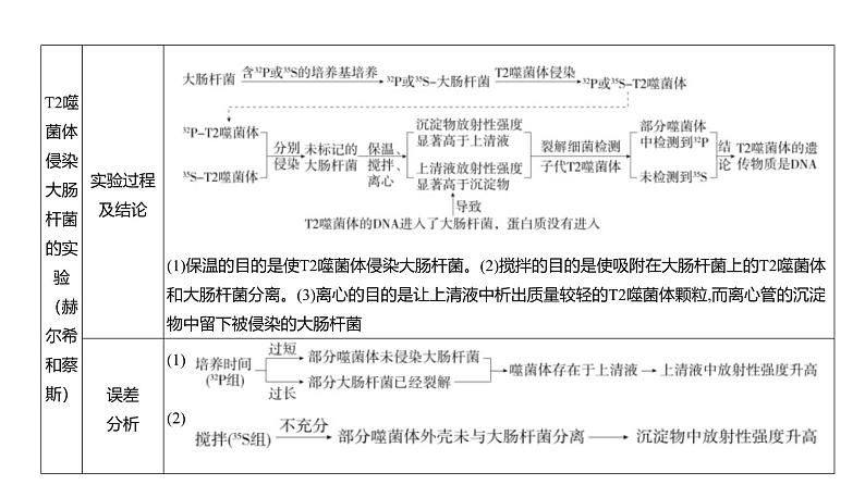 高考生物二轮复习讲解课件：专题10  遗传的分子基础第5页