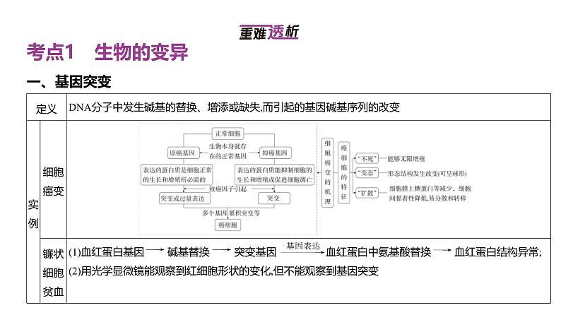 高考生物二轮复习讲解课件：专题11  生物的变异与进化02