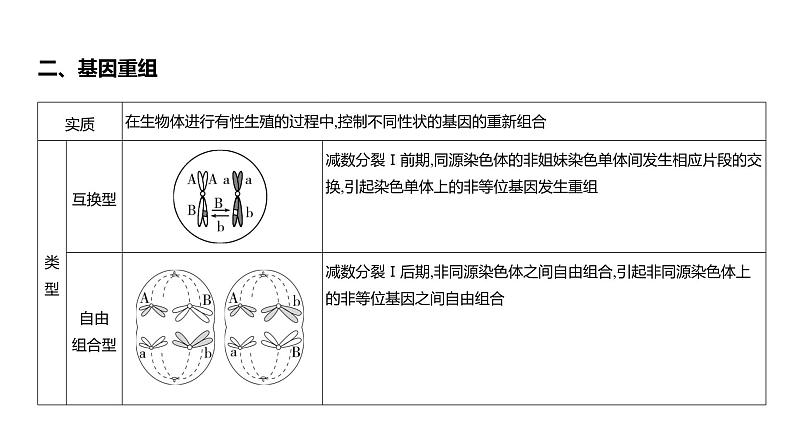 高考生物二轮复习讲解课件：专题11  生物的变异与进化05