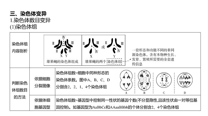 高考生物二轮复习讲解课件：专题11  生物的变异与进化07