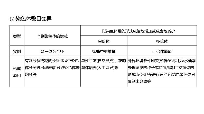 高考生物二轮复习讲解课件：专题11  生物的变异与进化08