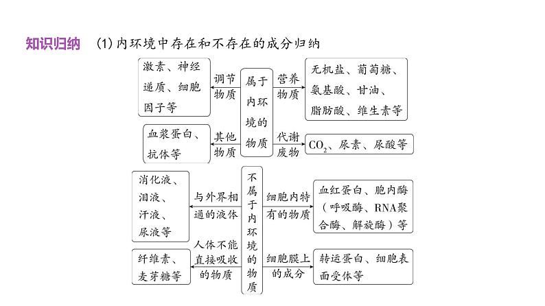 高考生物二轮复习讲解课件：专题12  人体的内环境与稳态第4页