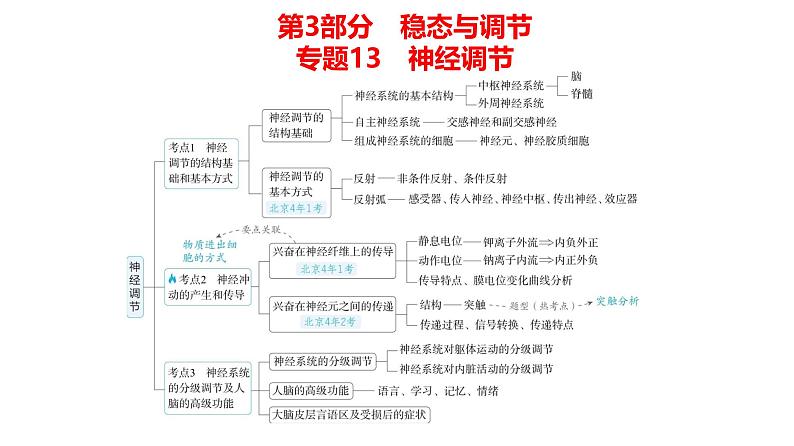 高考生物二轮复习讲解课件：专题13  神经调节第1页