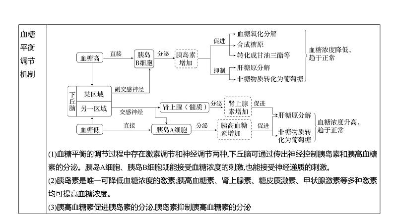 高考生物二轮复习讲解课件：专题14  体液调节第6页