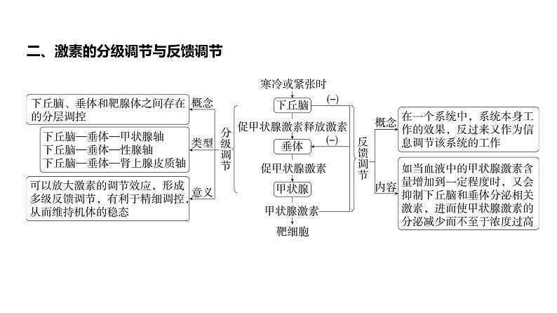 高考生物二轮复习讲解课件：专题14  体液调节第8页