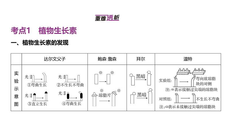 高考生物二轮复习讲解课件：专题16  植物生命活动的调节第2页