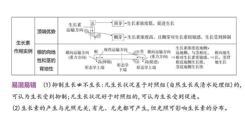 高考生物二轮复习讲解课件：专题16  植物生命活动的调节第6页