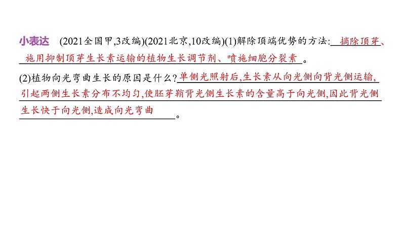 高考生物二轮复习讲解课件：专题16  植物生命活动的调节第7页