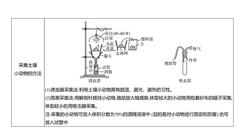 高考生物二轮复习讲解课件：专题18  群落及其演替第5页