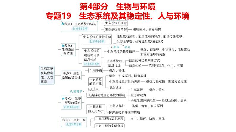 高考生物二轮复习讲解课件：专题19  生态系统及其稳定性、人与环境第1页