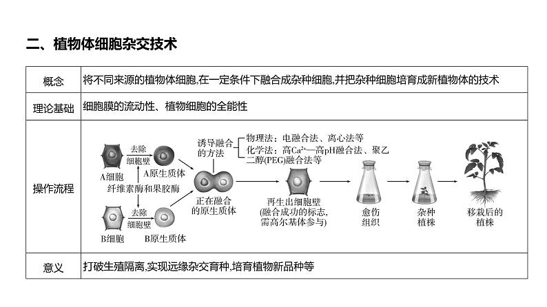 高考生物二轮复习讲解课件：专题21  细胞工程第4页