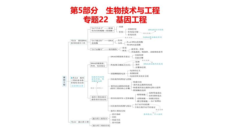 高考生物二轮复习讲解课件：专题22  基因工程第1页