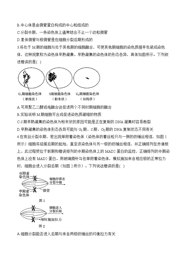 专题4 细胞的生命历程（选择题）-2025年高考生物二轮复习模块分练【新高考版】（含解析）第2页