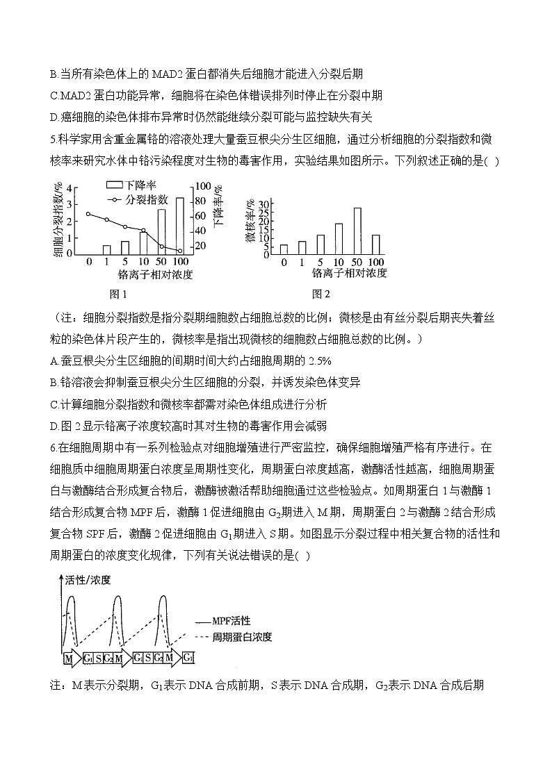 专题4 细胞的生命历程（选择题）-2025年高考生物二轮复习模块分练【新高考版】（含解析）第3页