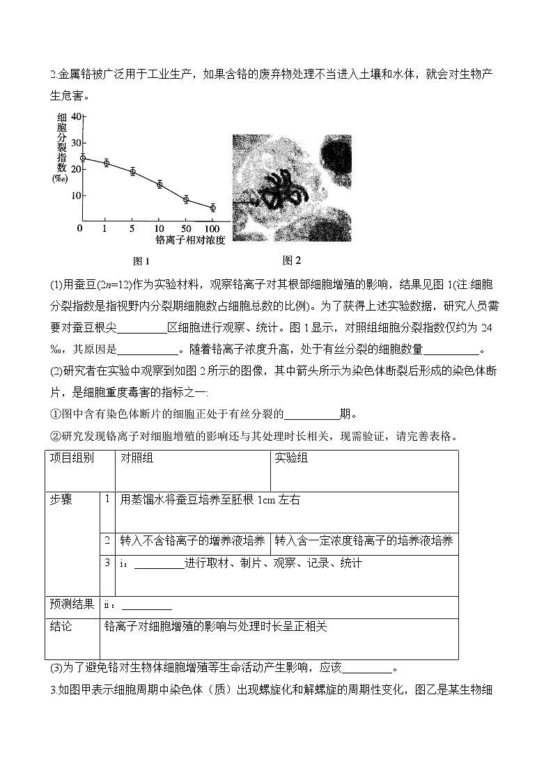专题4 细胞的生命历程（非选择题）-2025年高考生物二轮复习模块分练【新高考版】（含解析）02