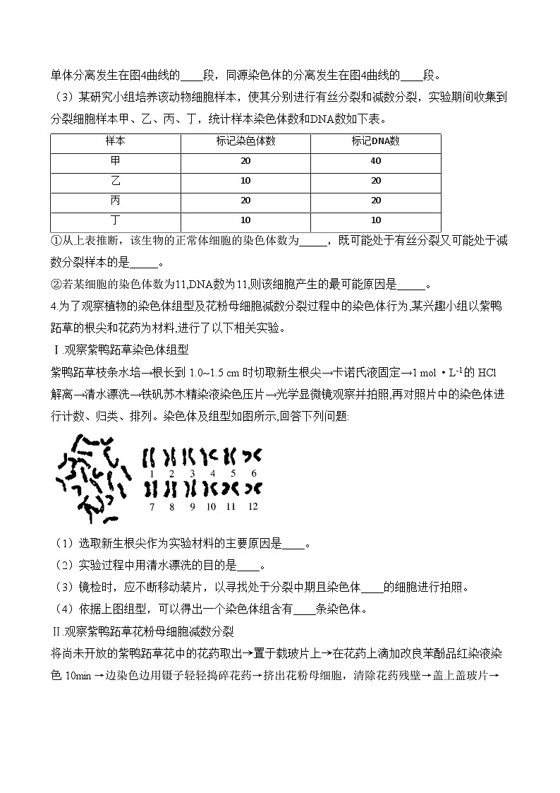 专题5 遗传的细胞学基础（非选择题）-2025年高考生物二轮复习模块分练【新高考版】（含解析）第3页