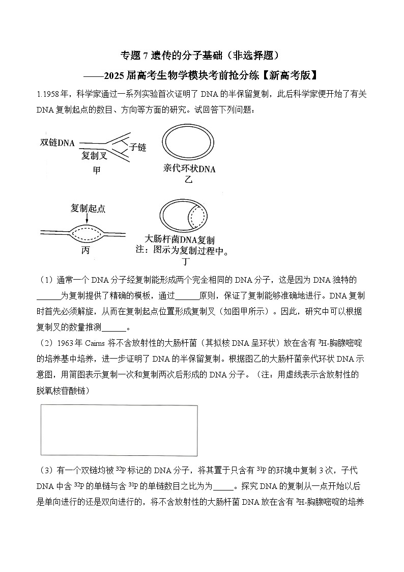 专题7 遗传的分子基础（非选择题）-2025年高考生物二轮复习模块分练【新高考版】（含解析）第1页