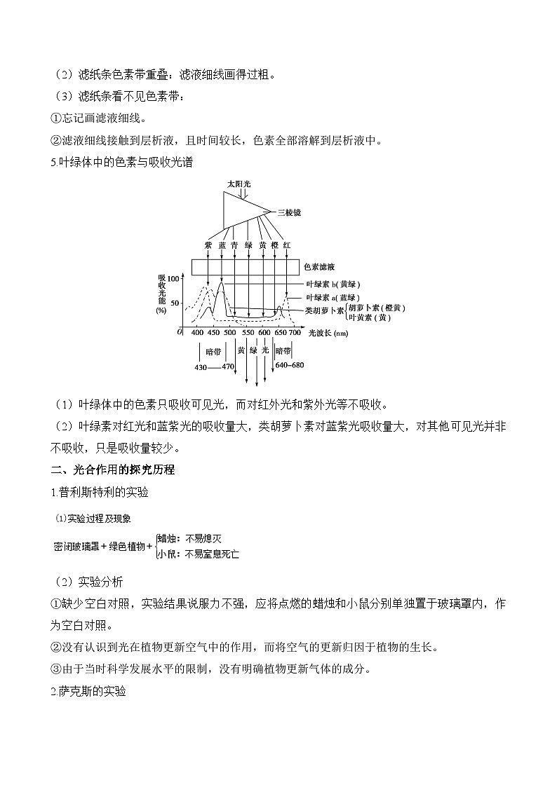 专题6 光合作用（练习）--2025年高考生物二轮复习易错重难提升专题（含解析 ）02