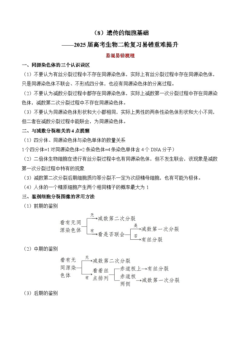 专题8 遗传的细胞基础（练习）--2025年高考生物二轮复习易错重难提升专题（含解析 ）01