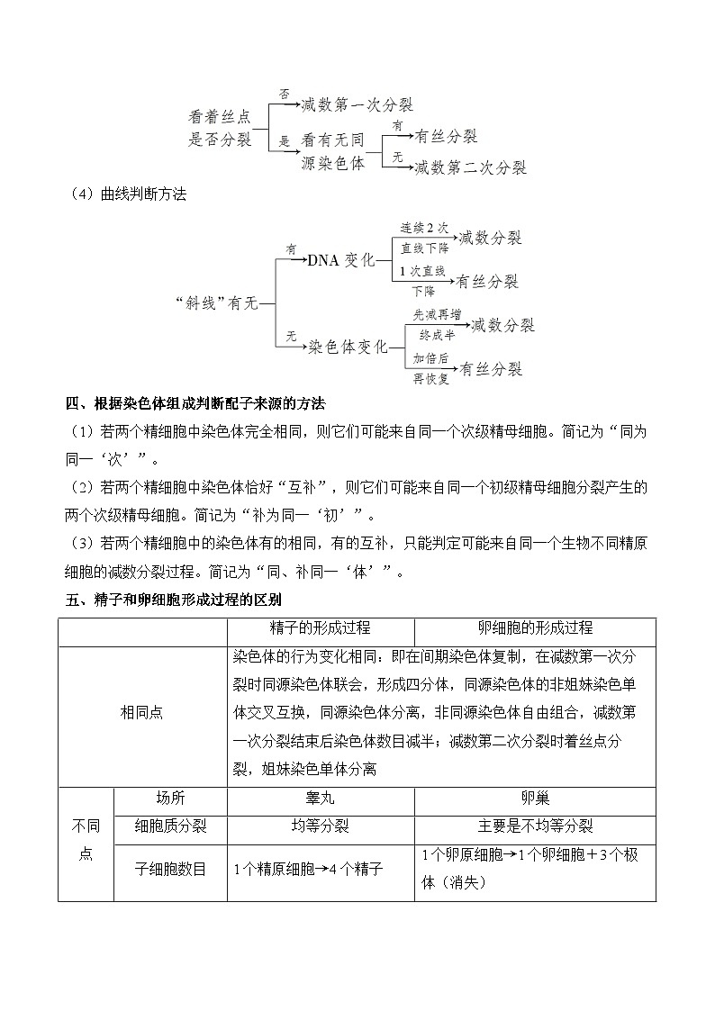 专题8 遗传的细胞基础（练习）--2025年高考生物二轮复习易错重难提升专题（含解析 ）02