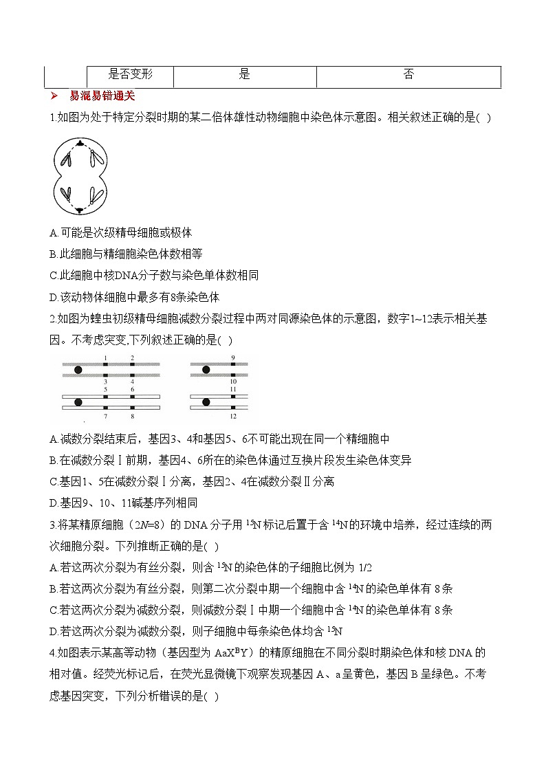 专题8 遗传的细胞基础（练习）--2025年高考生物二轮复习易错重难提升专题（含解析 ）03