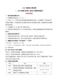 专题10 基因的分离定律（练习）--2025年高考生物二轮复习易错重难提升专题（含解析 ）