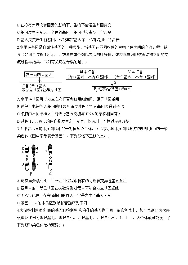 专题13 生物的变异与育种（练习）--2025年高考生物二轮复习易错重难提升学案专题（含解析 ）03