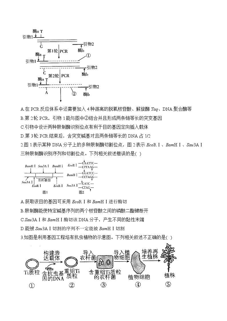 专题24 基因工程与细胞工程（练习）--2025年高考生物二轮复习易错重难提升学案专题（含解析 ）第3页