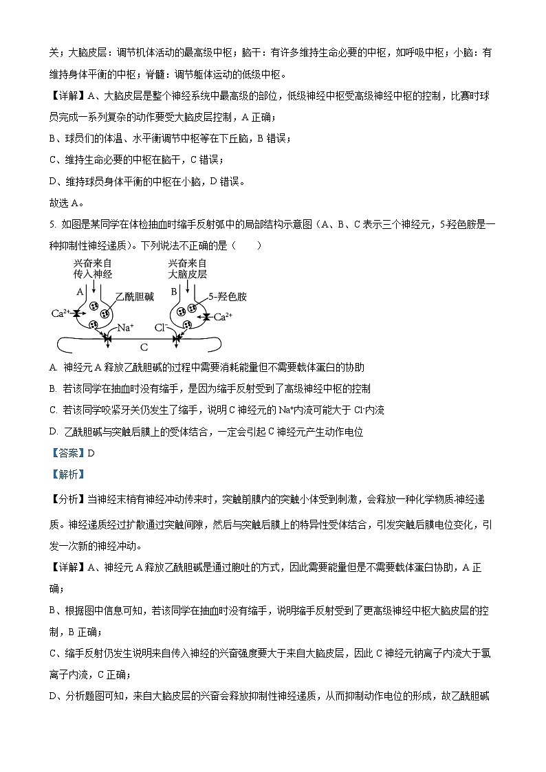河北省邯郸市武安市第一中学2024-2025学年高二上学期10月期中考试生物试题含解析第3页