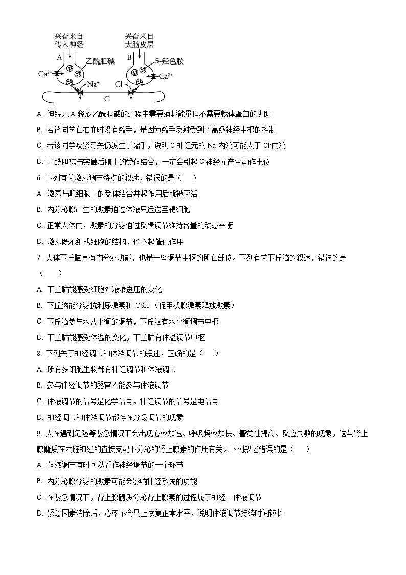 河北省邯郸市武安市第一中学2024-2025学年高二上学期10月期中考试生物试题无答案第2页