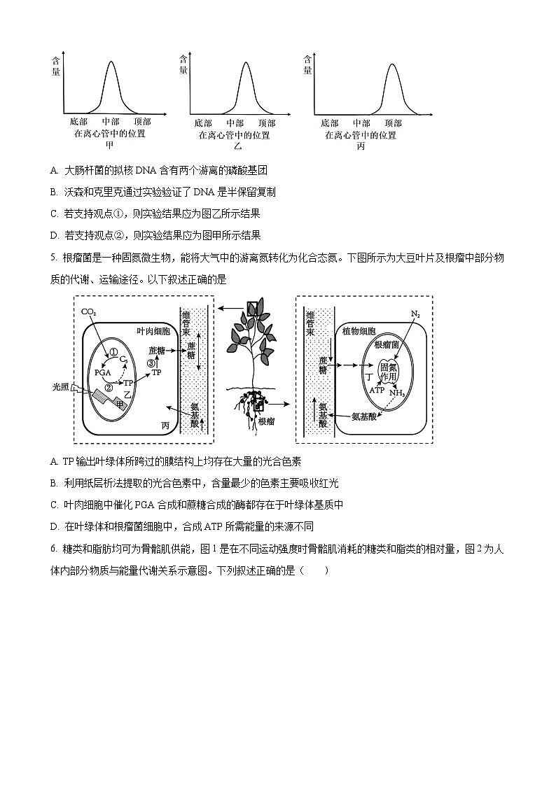 重庆市第一中学2024-2025学年高二上学期10月月考生物试题无答案第2页